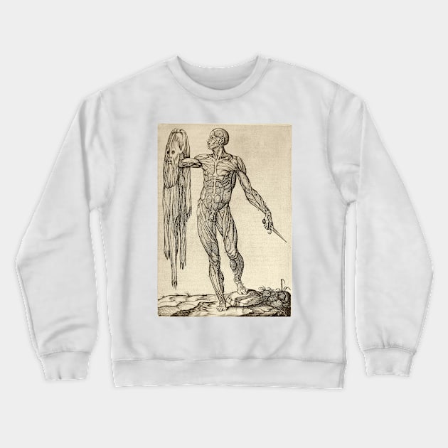 Dissected cadaver with flayed skin (C019/7086) Crewneck Sweatshirt by SciencePhoto